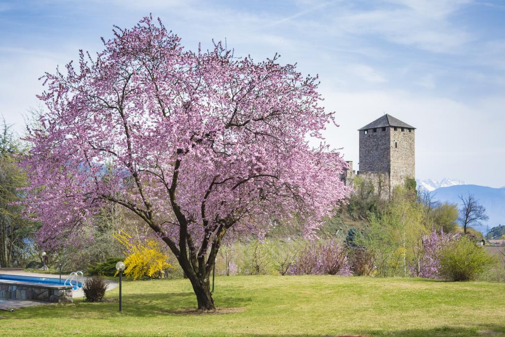 ホテル Der Waldhof ヴォラン エクステリア 写真